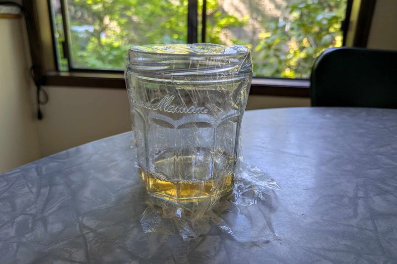 Set Up Apple Cider Vinegar Traps