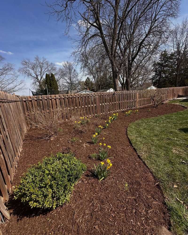 Create Mulch Borders Around Plants