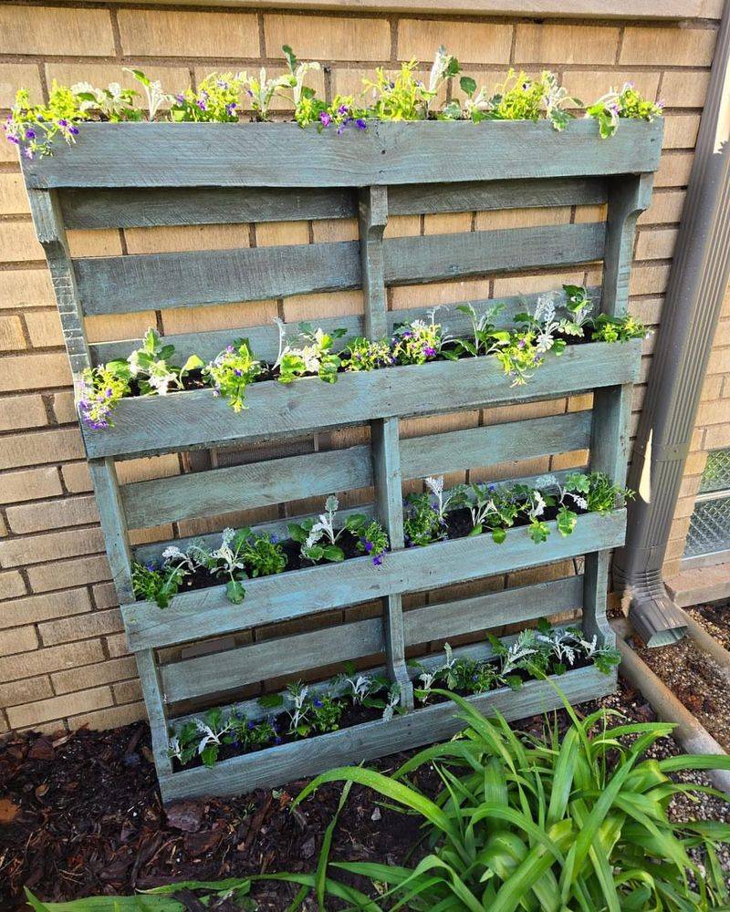 Pallet Vegetable Gardens