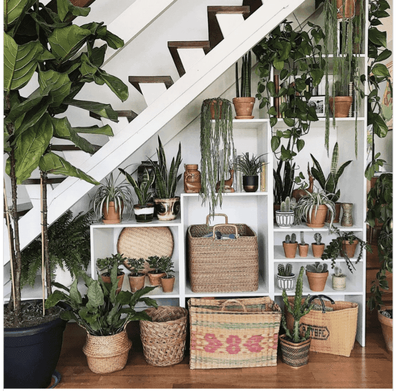 Under-Stair Garden Nook