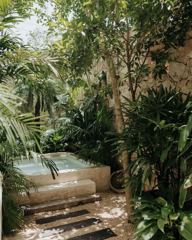 Tropical Paradise with Lush Plants