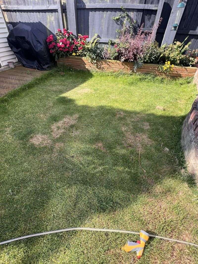 Mower Damage Increasing