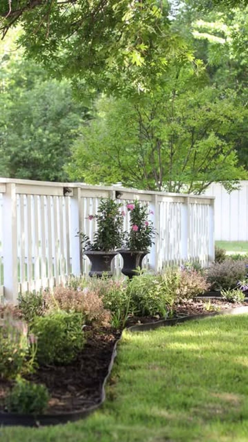 Living Fence Border