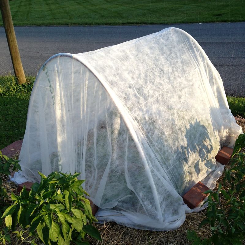 Extend The Season With Protection