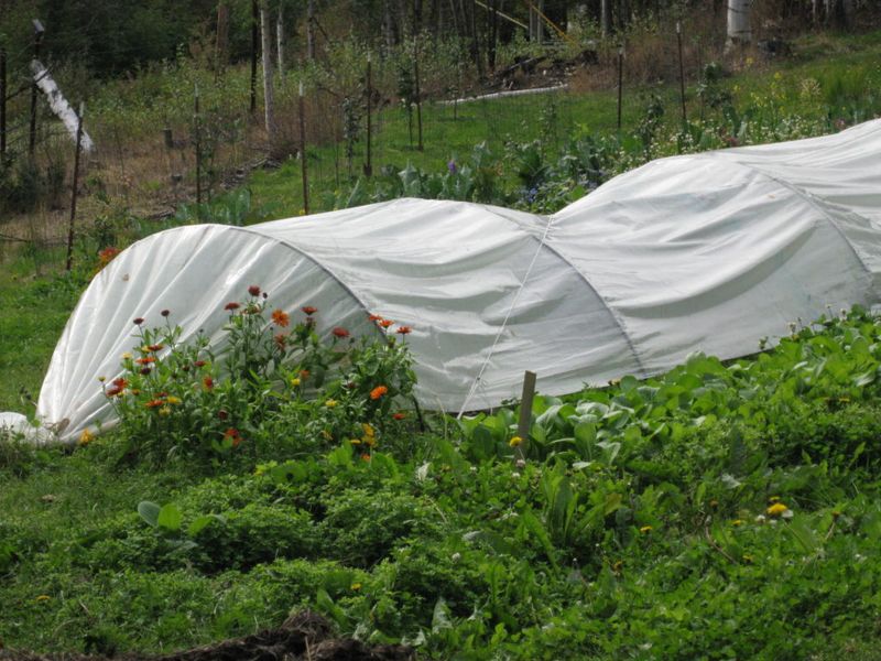 Extend Growing Seasons