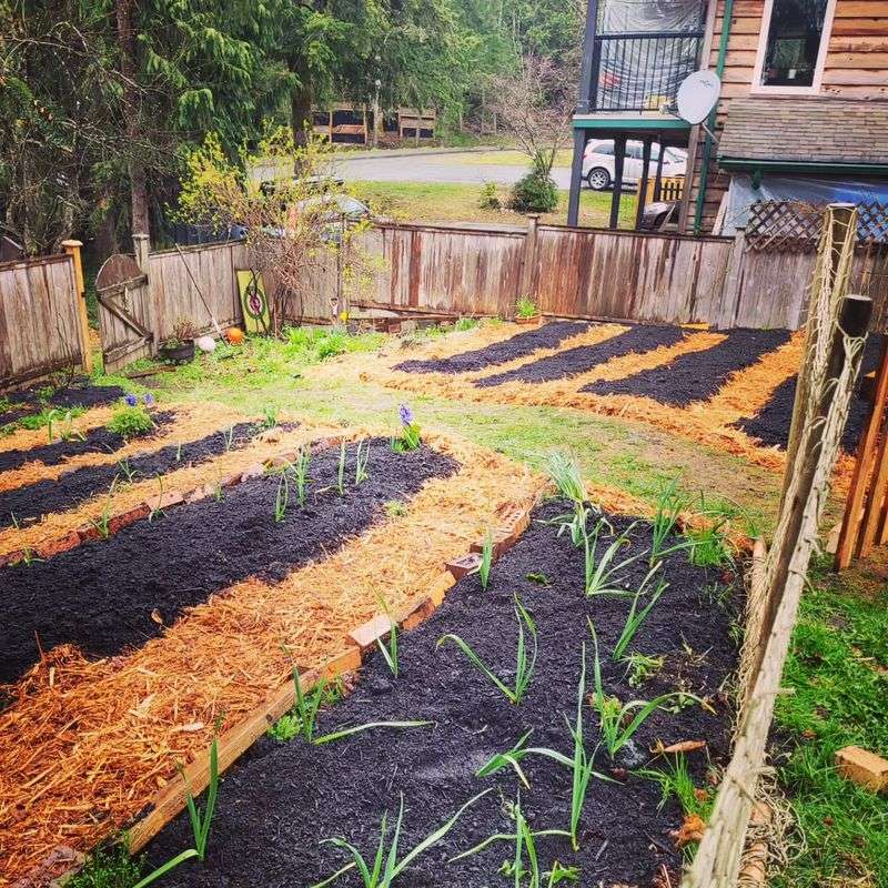 Create Garden Microclimates