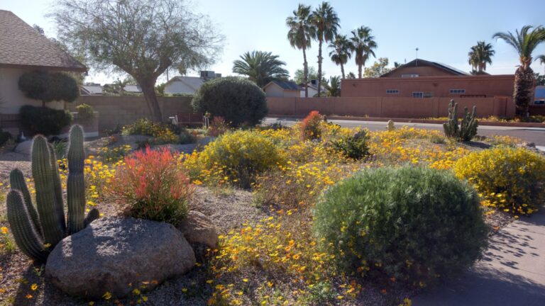 garden in arizona