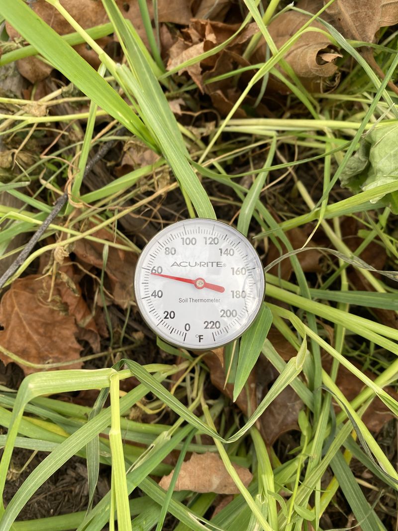 Soil Temperature Still Rising