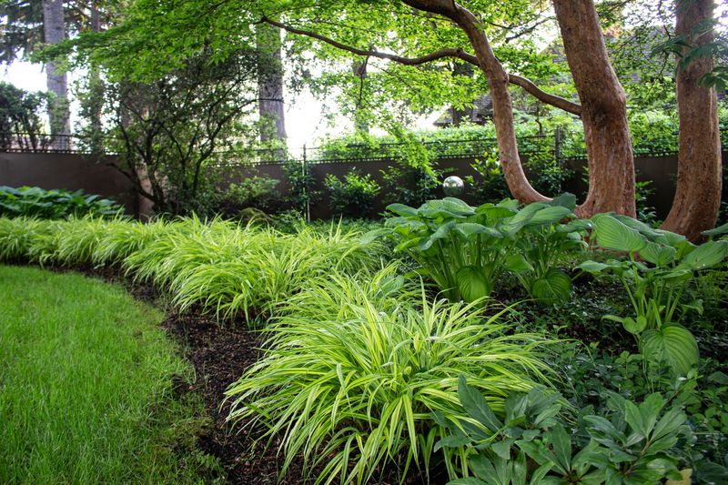 Japanese Forest Grass: Elegant Texture