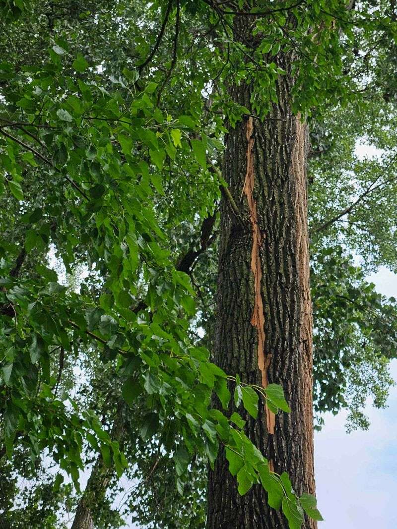 Lightning Strike Damage