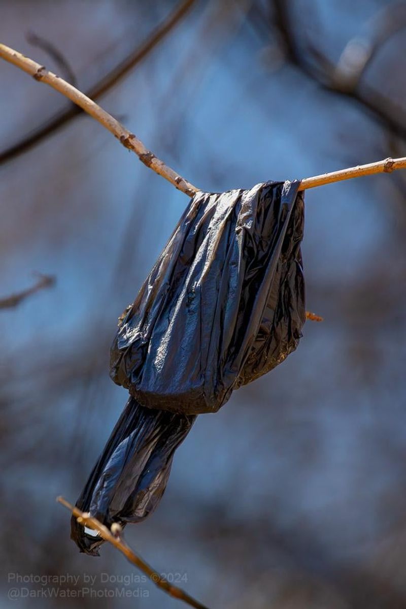 Bird Deterrent Device