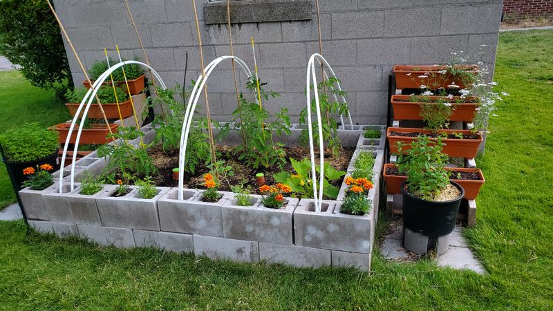 Cinder Block Raised Beds