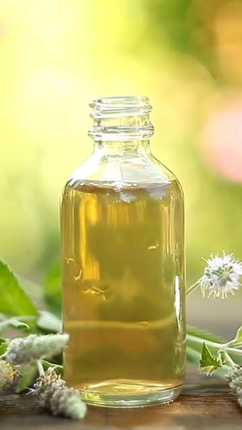 Castor Oil: Underground Repellent