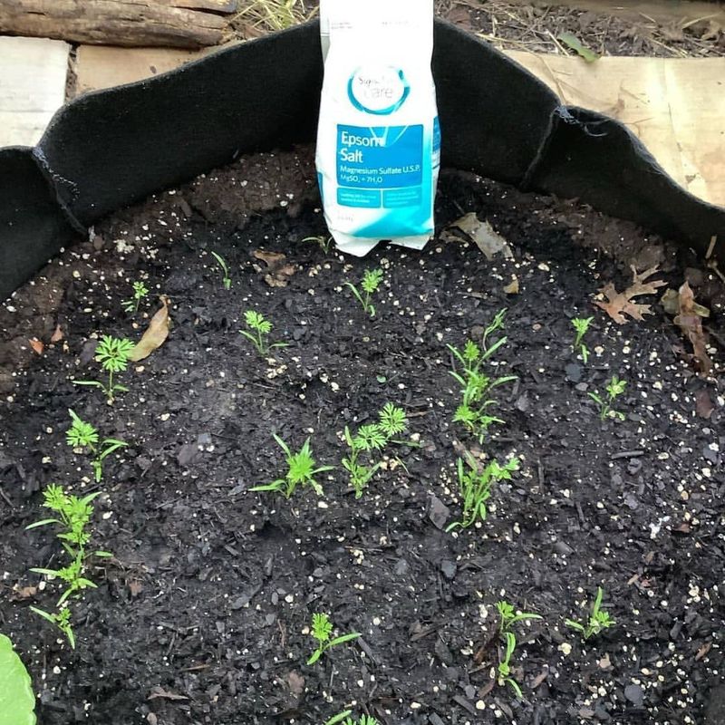 Compost Pile Activator