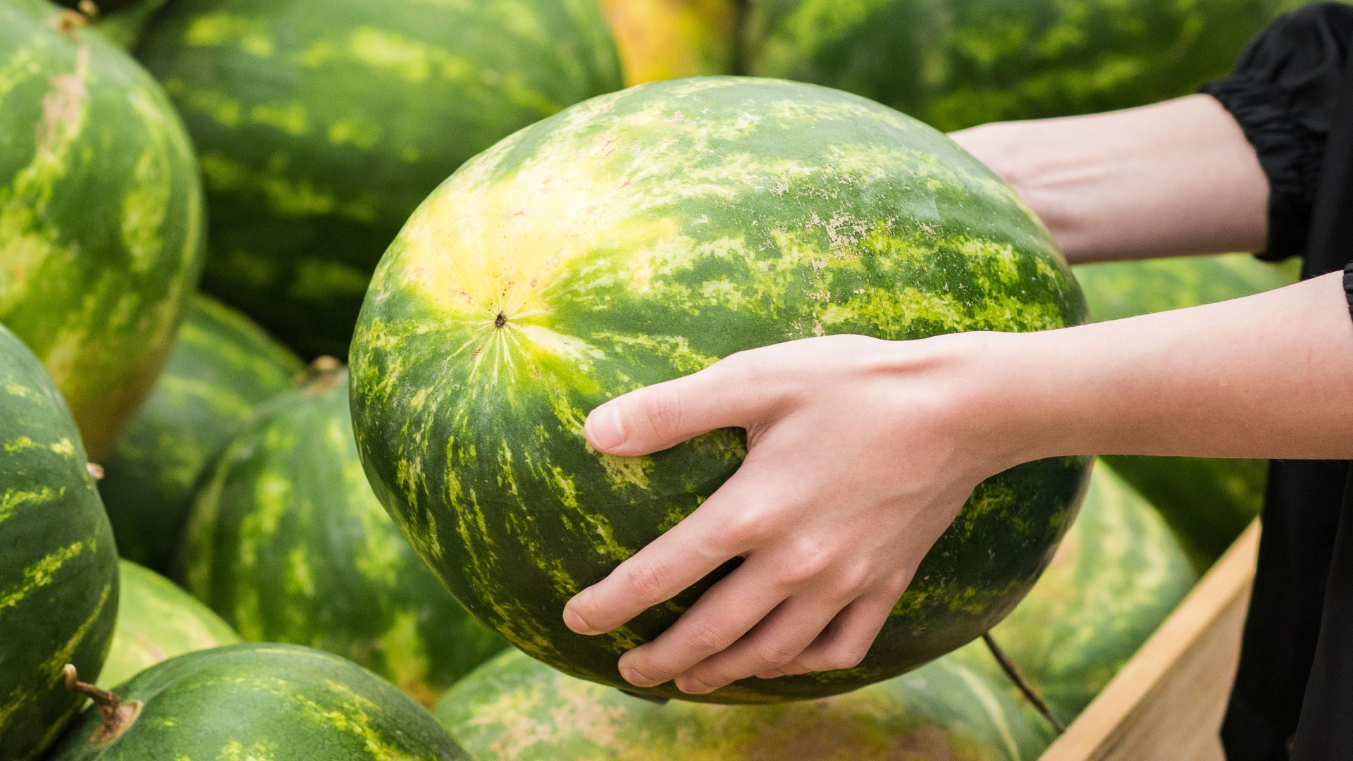 How To Pick The Perfect Watermelon Every Time