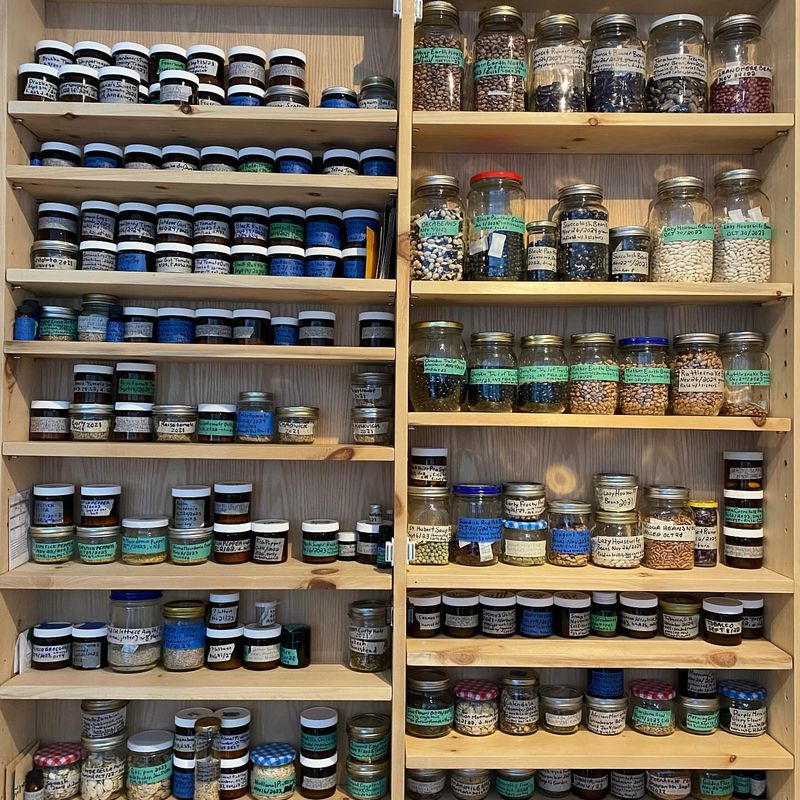 Organized Seed Storage