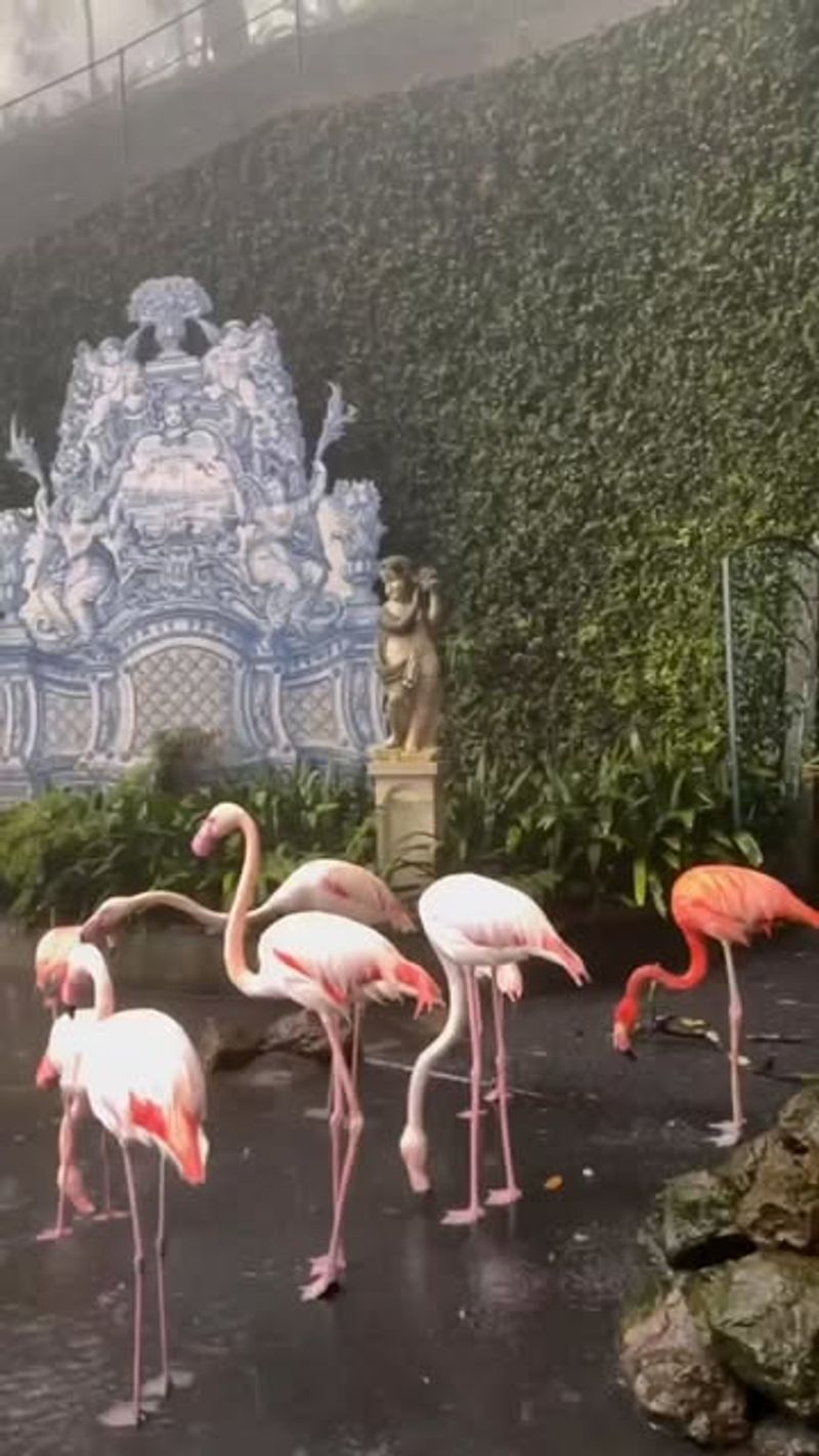Monte Palace Tropical Garden, Portugal