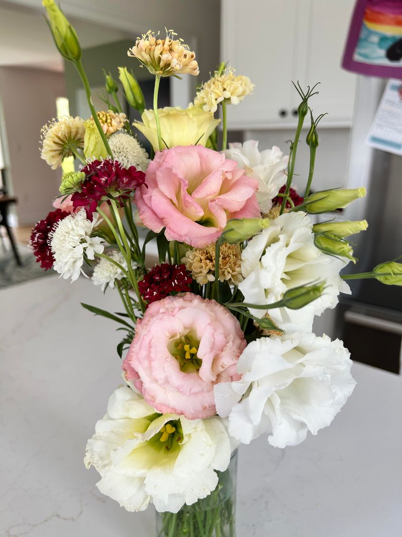 Lisianthus