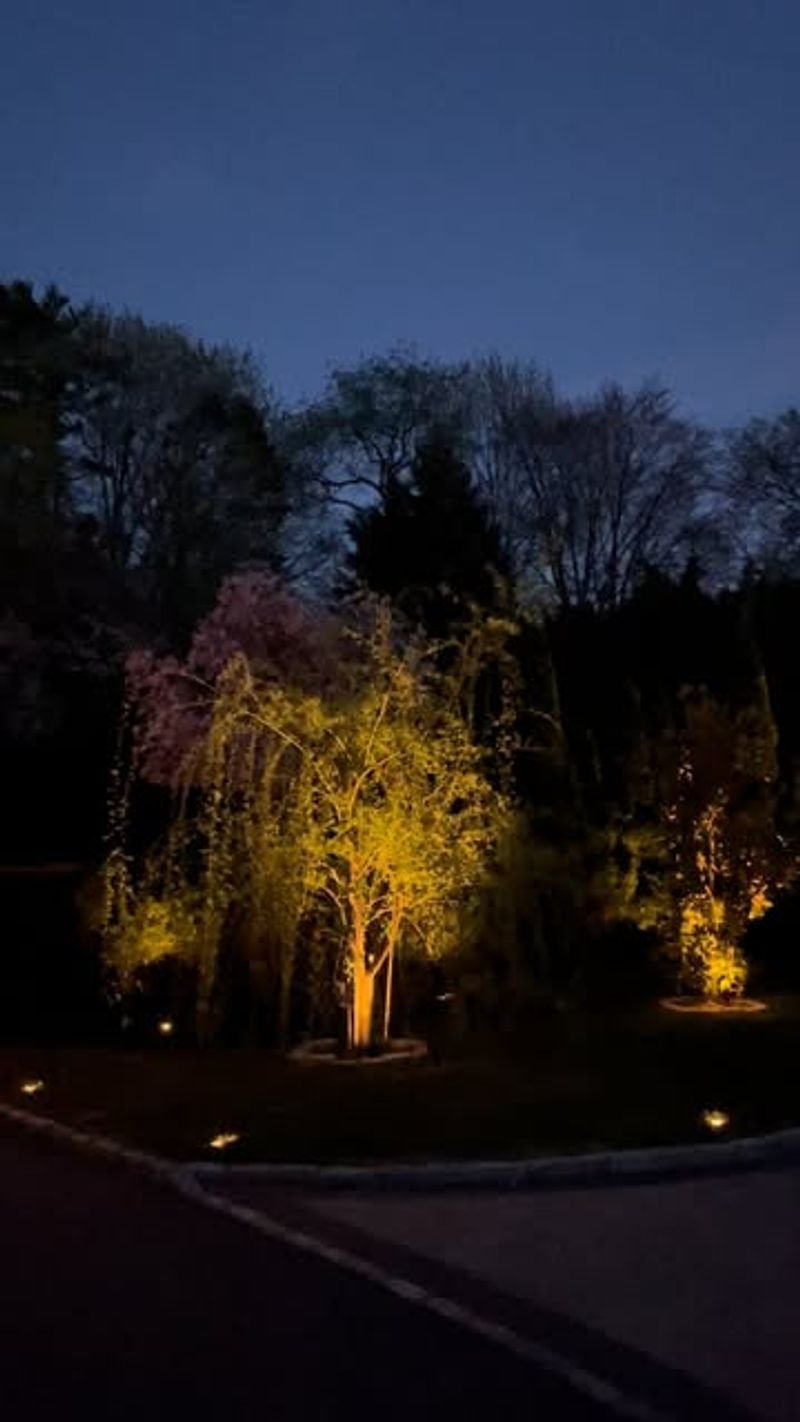 Excessive Night Lighting