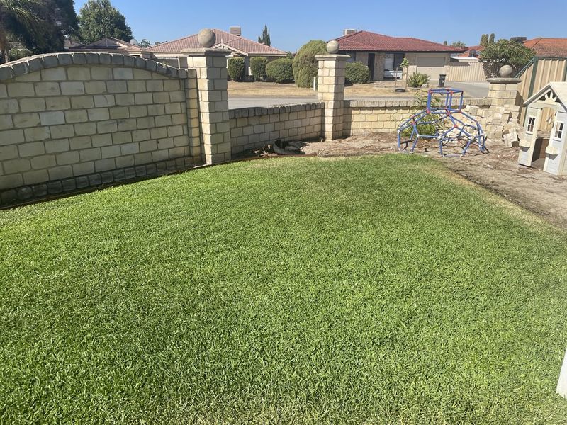 Cutting Grass Too Short