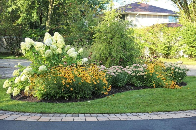 Smart Fix: Defined Planting Beds with Curves