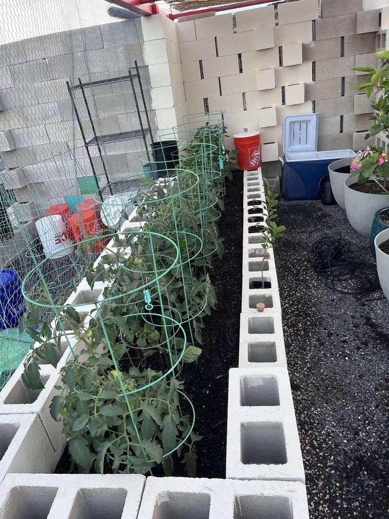 One-Size-Fits-All Watering Schedule
