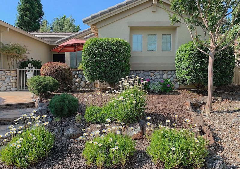 Scattered Plantings Without Grouping