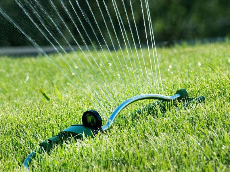 Watering Right After Mowing