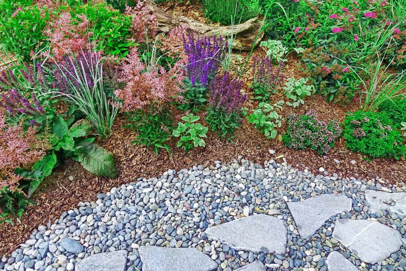 Crowding Plants Together