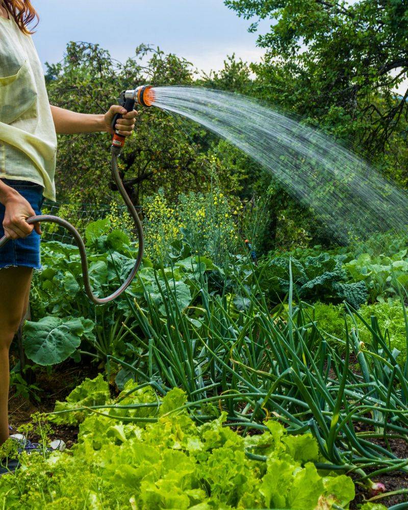 Using Cold Hose Water Directly