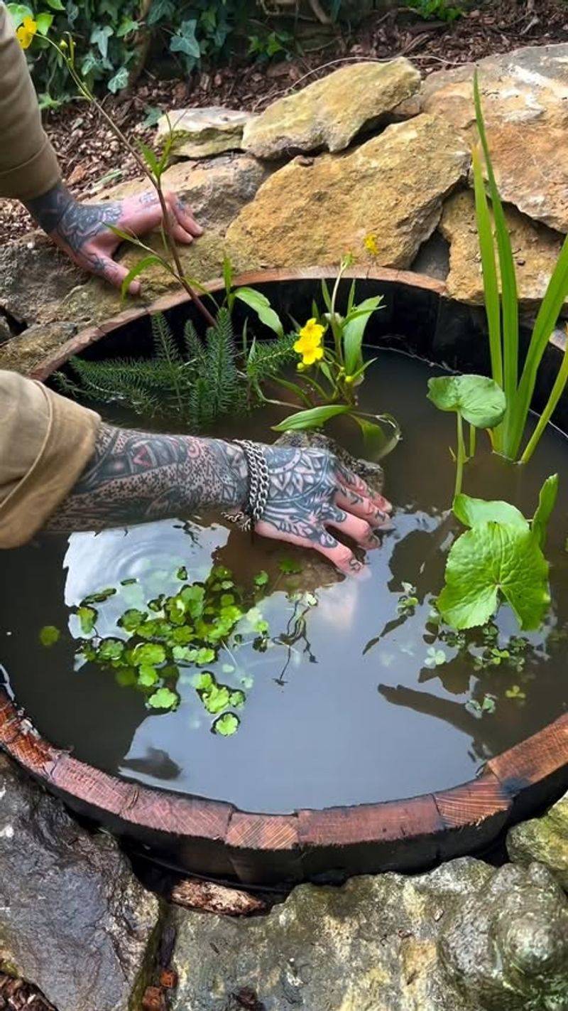 Creating Wildlife Attractants