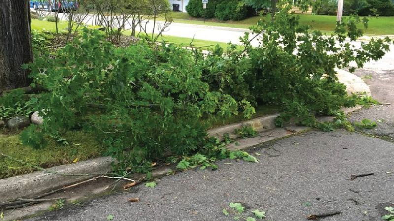 Blocking Sidewalks With Yard Waste