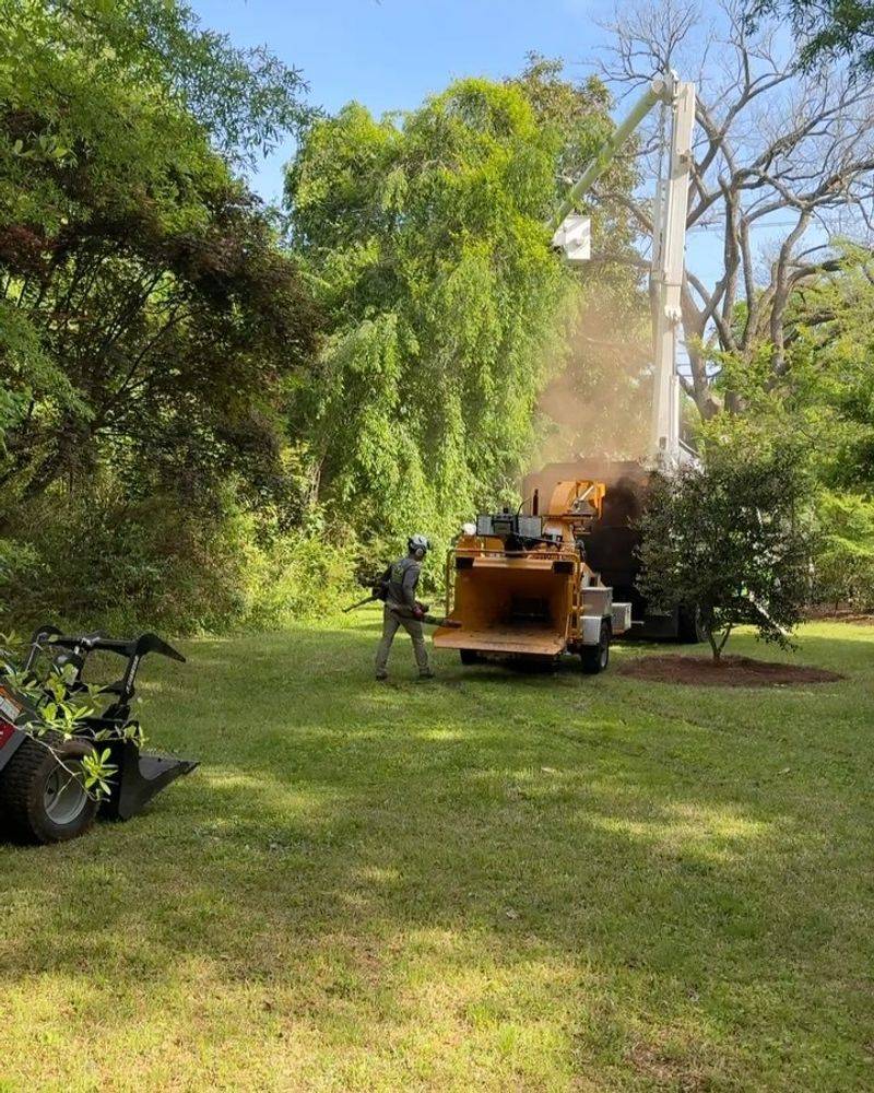 Removing Heritage Trees