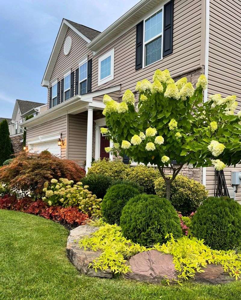 Ignoring House-Plant Color Coordination