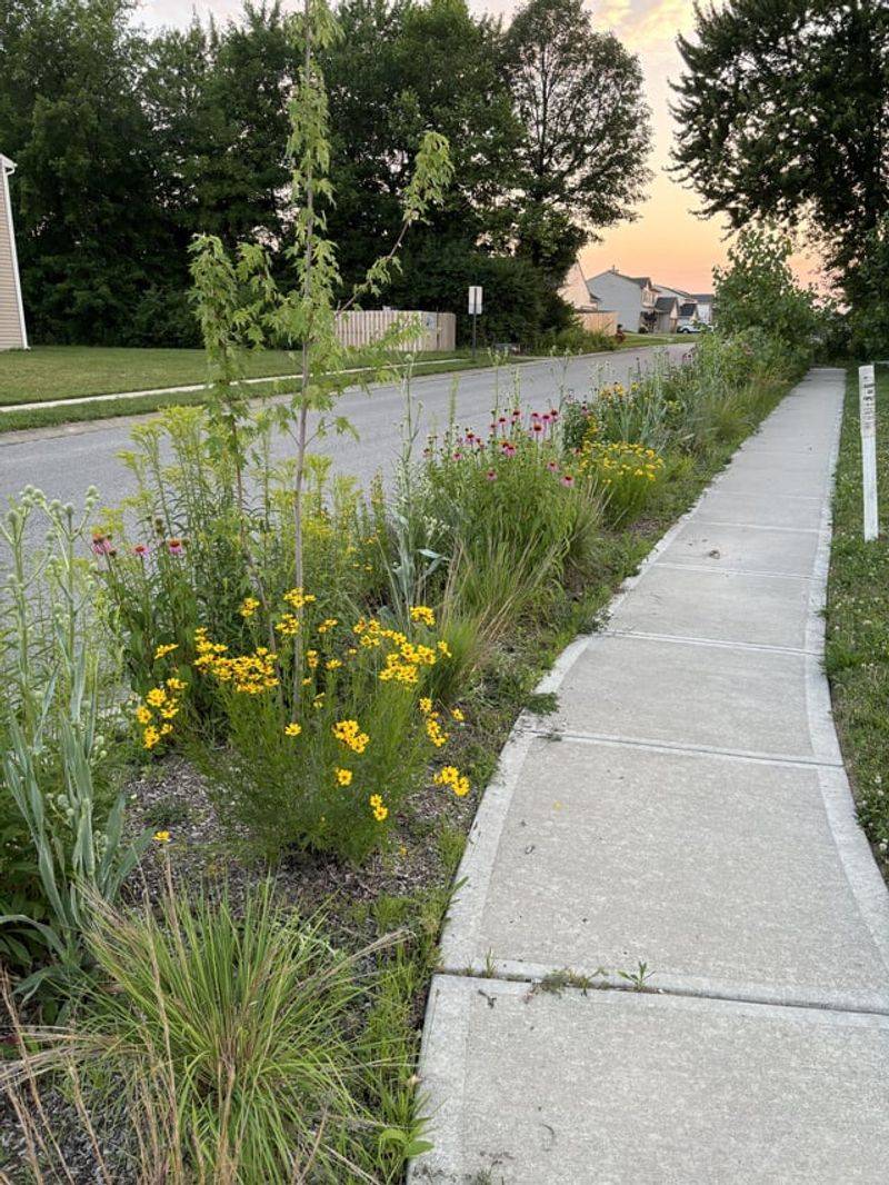 Obstructive Plantings Near Intersections
