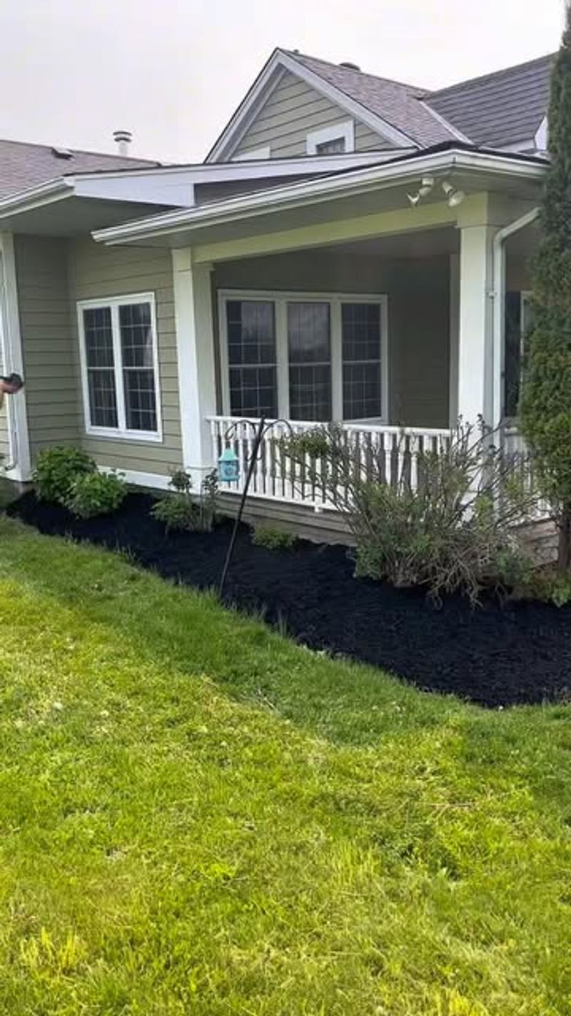Neglected Mulch Beds