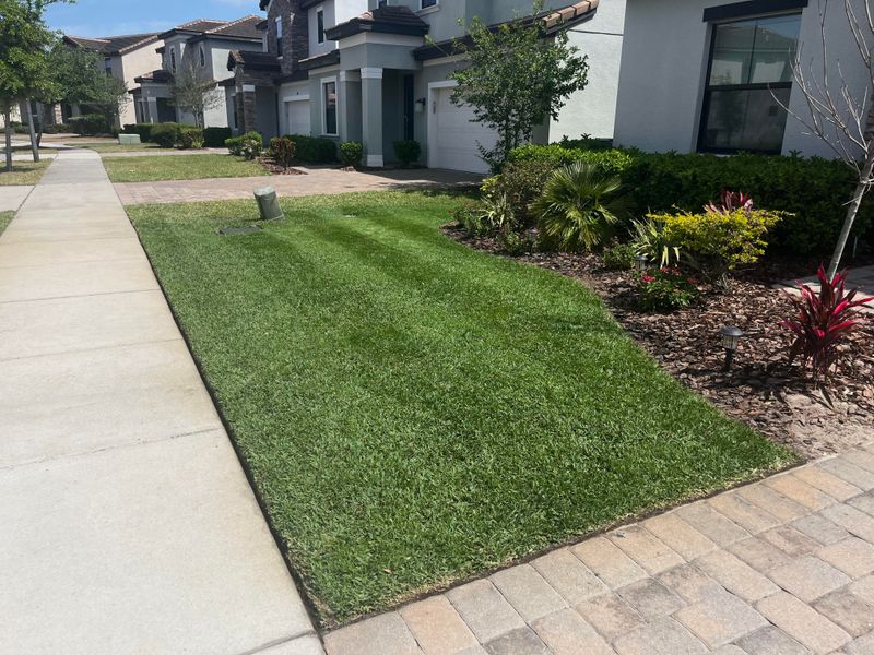 Violating HOA Landscaping Rules