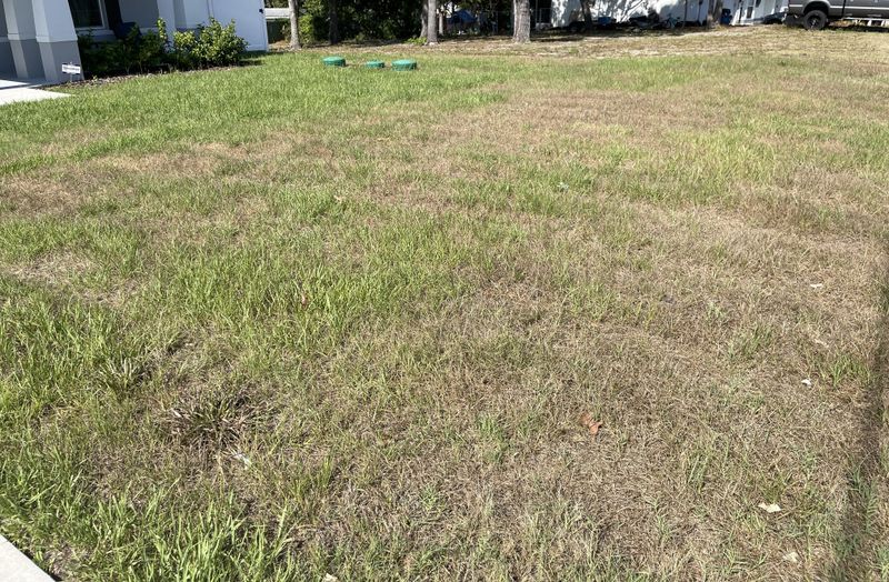 Fertilizer Misuse