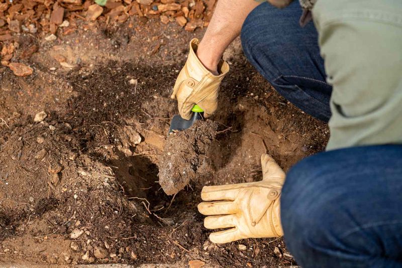 Neglecting Soil Preparation