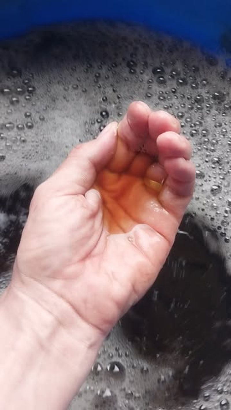 Apply Compost Tea