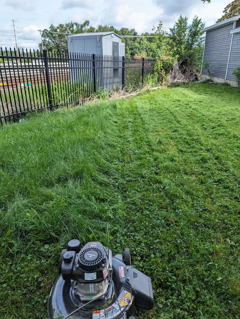 Regular Mowing Habits