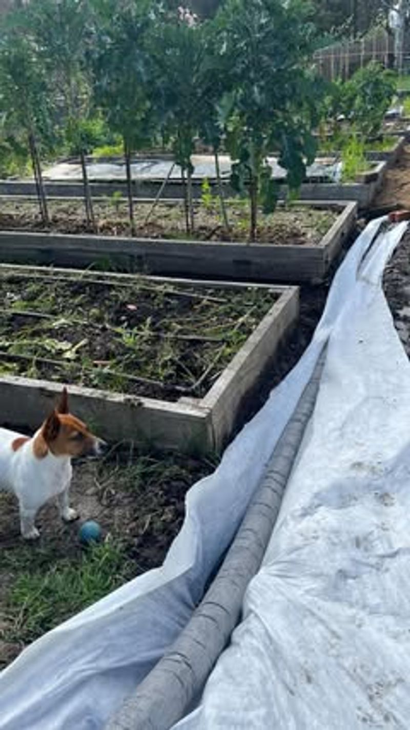 Watering Without Checking Drainage