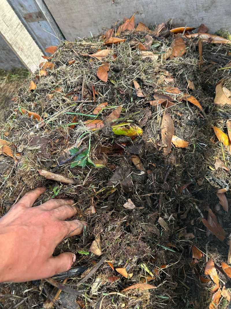 Utilize Grass Clippings As Activator Layers