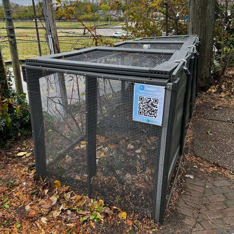 Overlooking Compost Location