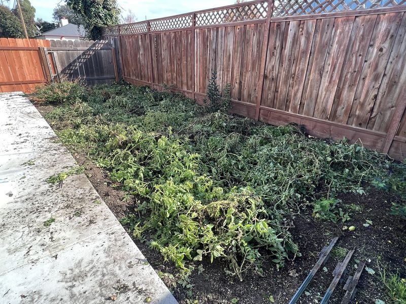 Pest Population Explosion
