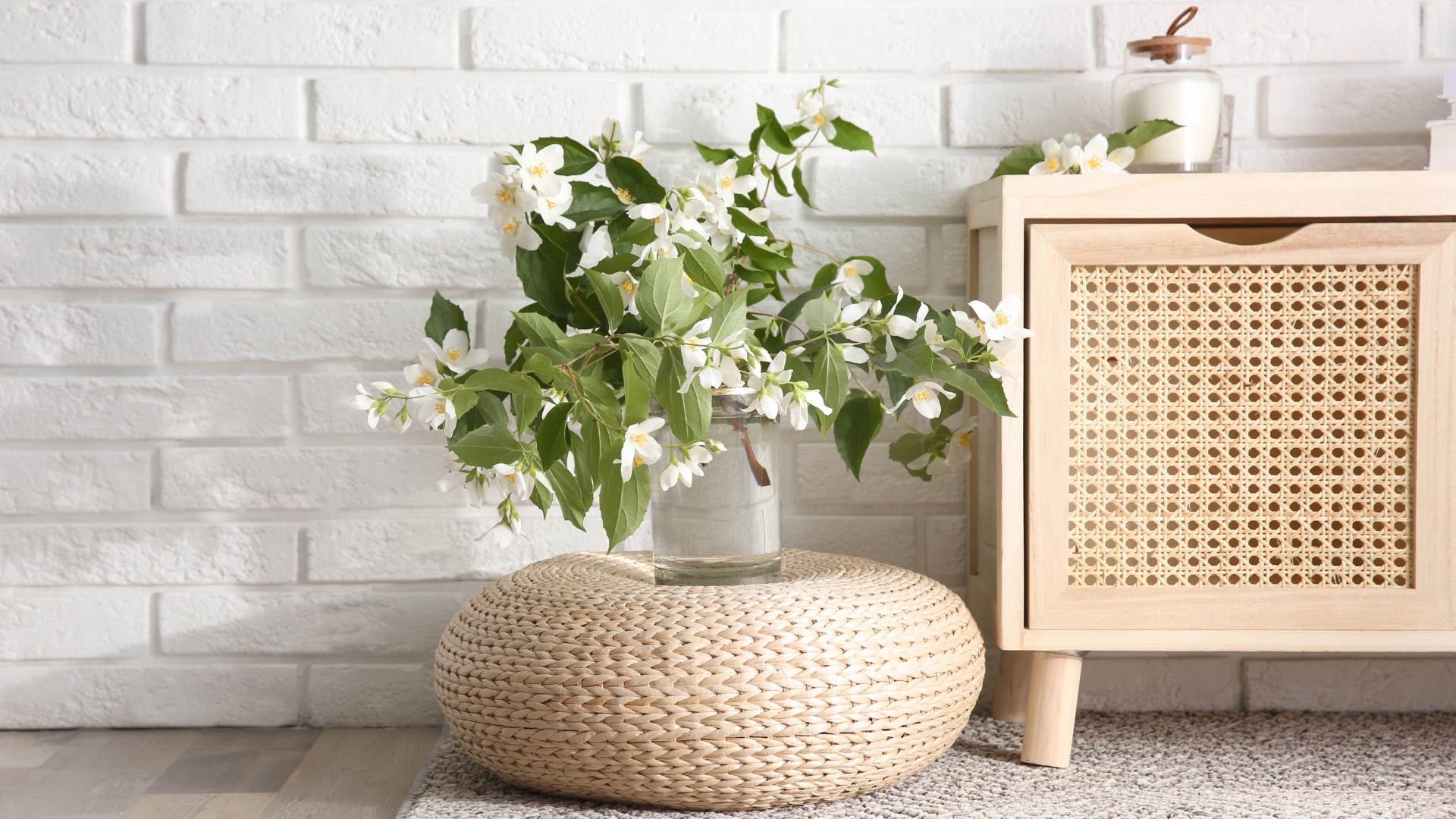 Indoor Plants That People With Amazing-Smelling Homes Use To Scent Their Spaces Naturally