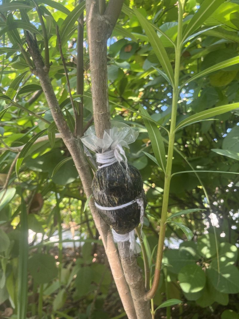 DIY Wasp Decoy