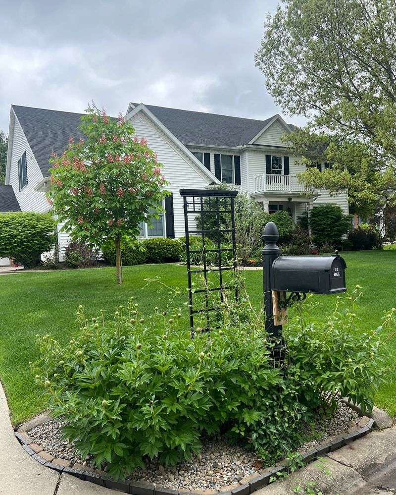 Upgrade Mailbox Landscaping