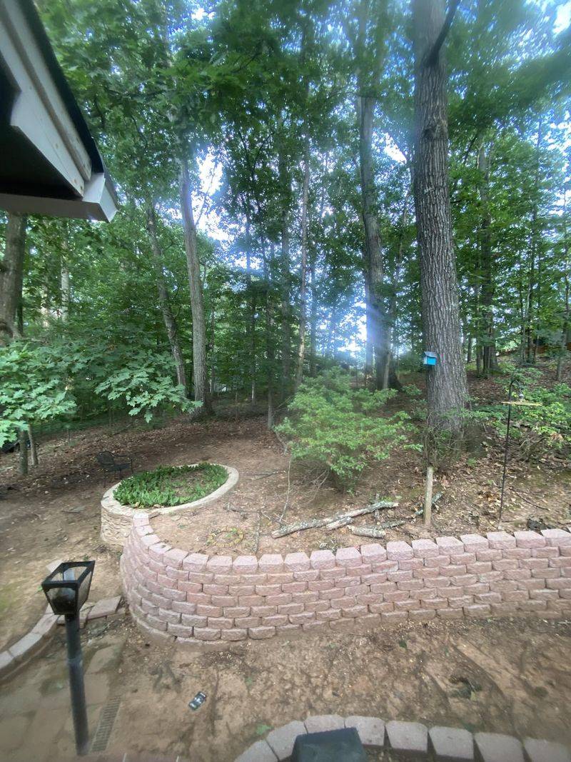 Create a Buffer Zone