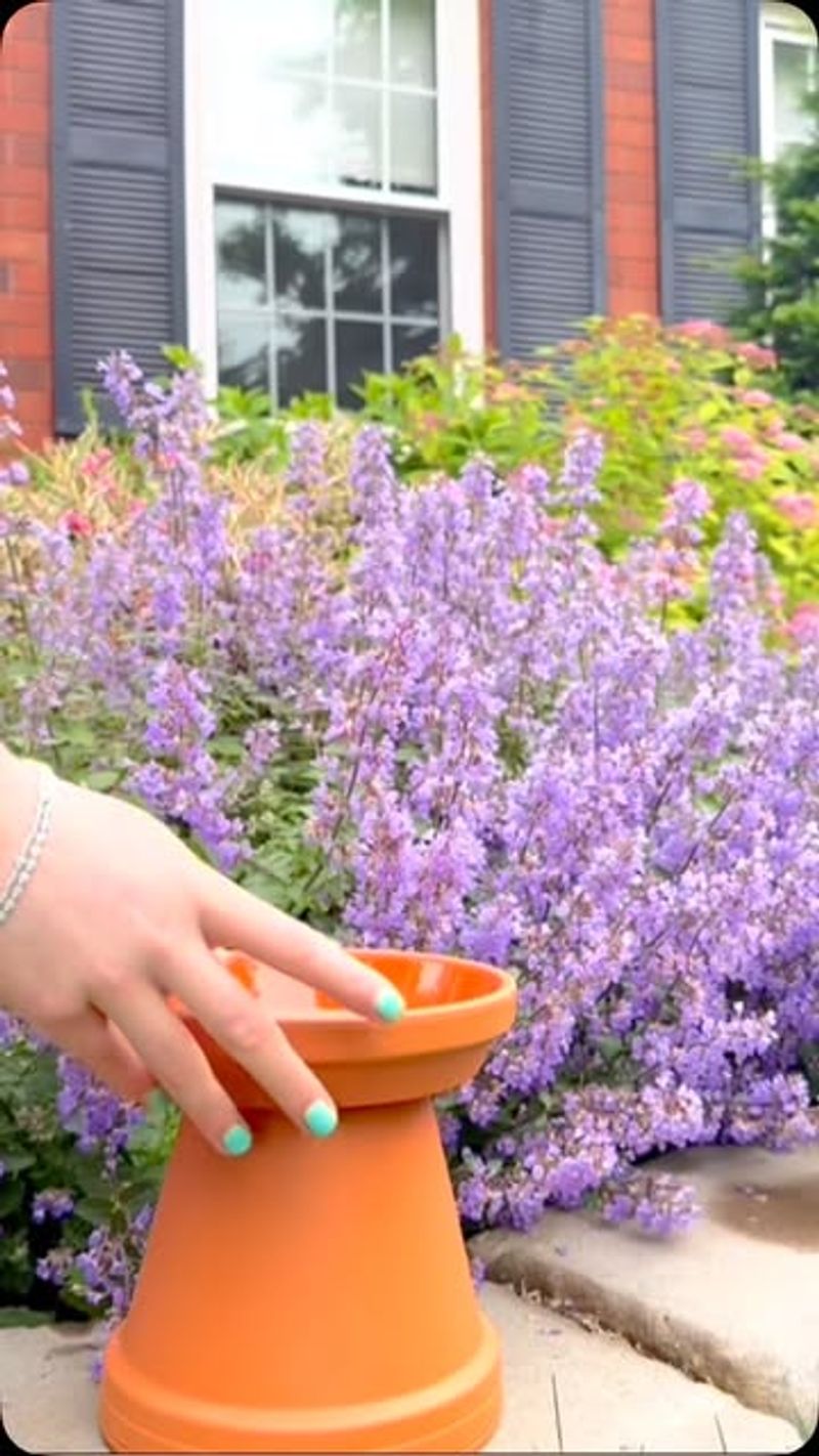 Create Plant Hydration Stations